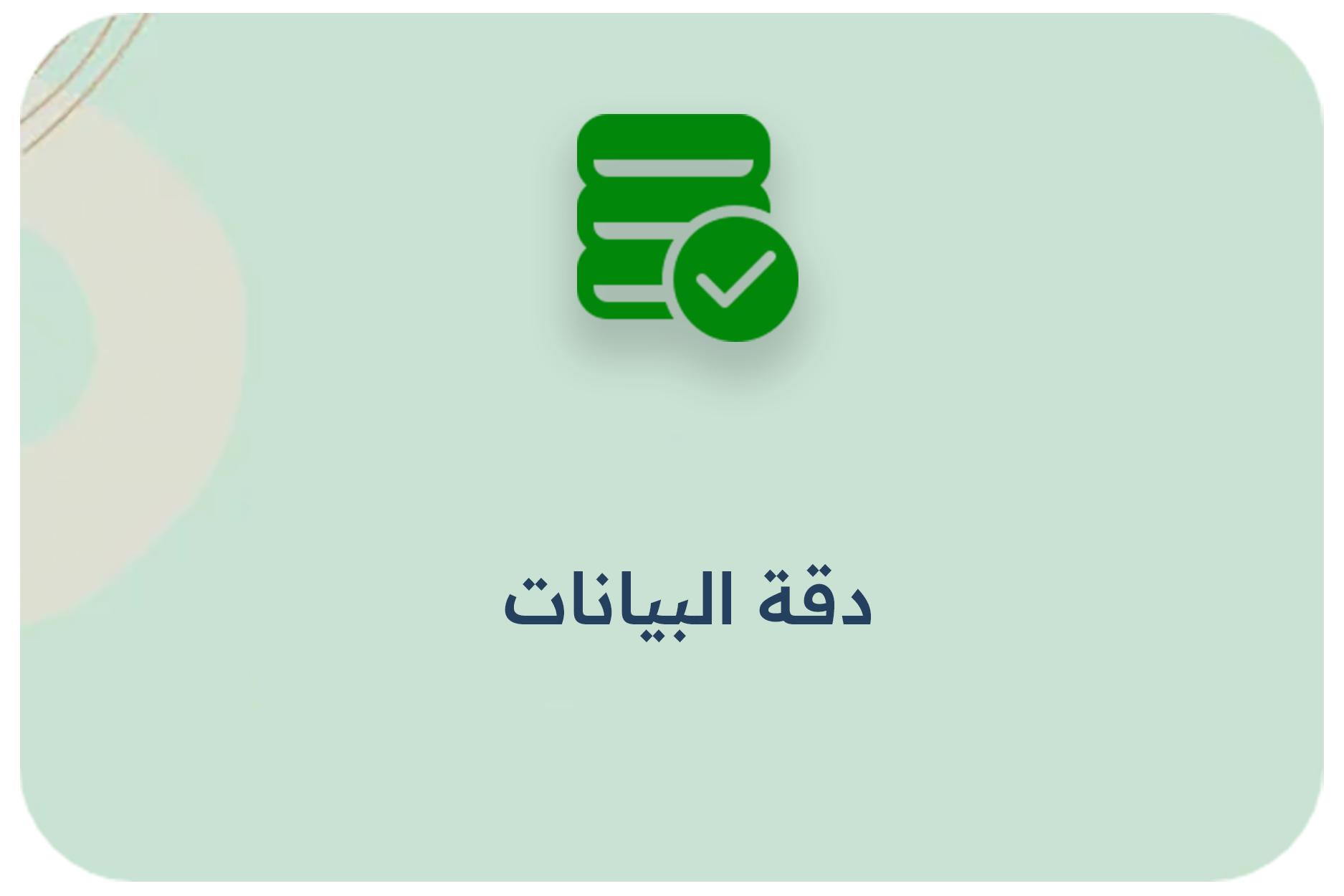 دقة البيانات