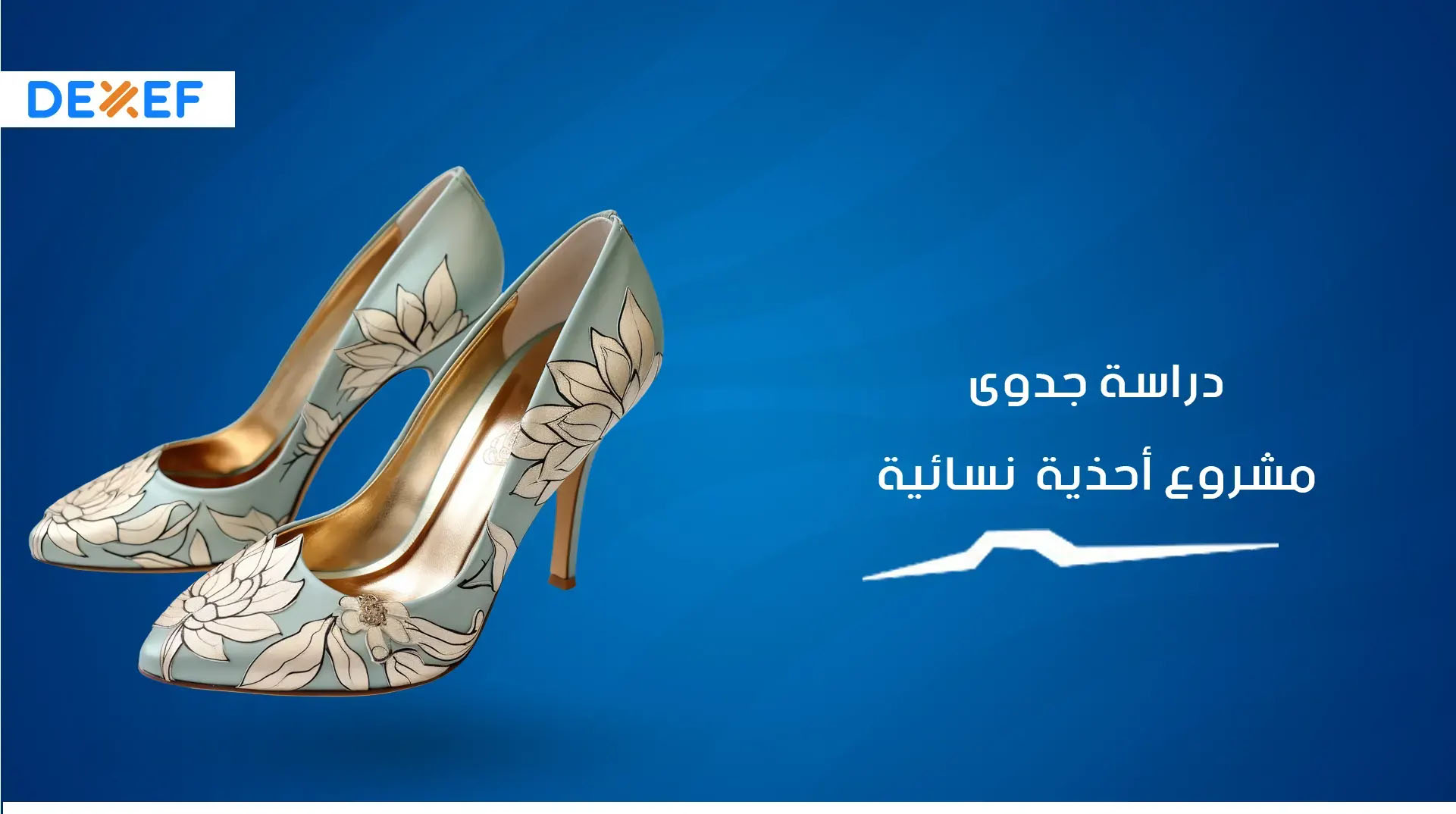 دراسة جدوي احذية نسائية